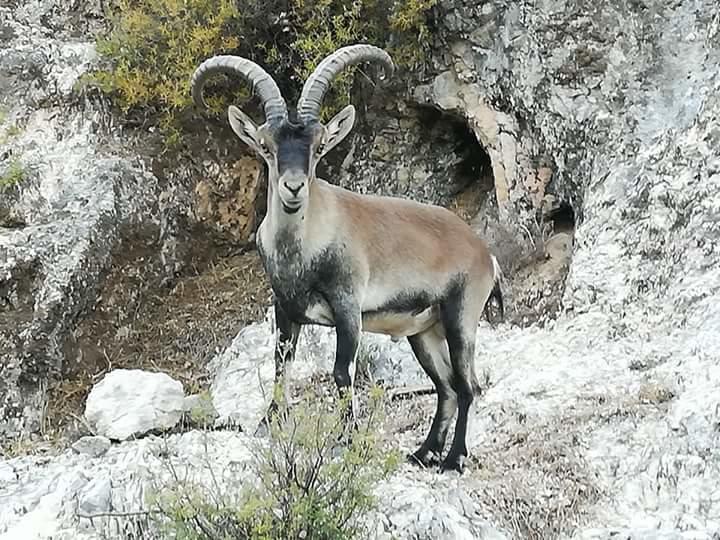 ארויו פריו Alojamiento Alarcon מראה חיצוני תמונה